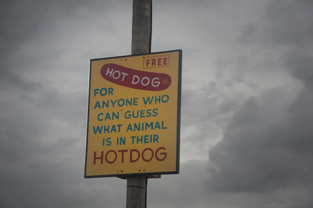 dismaland949