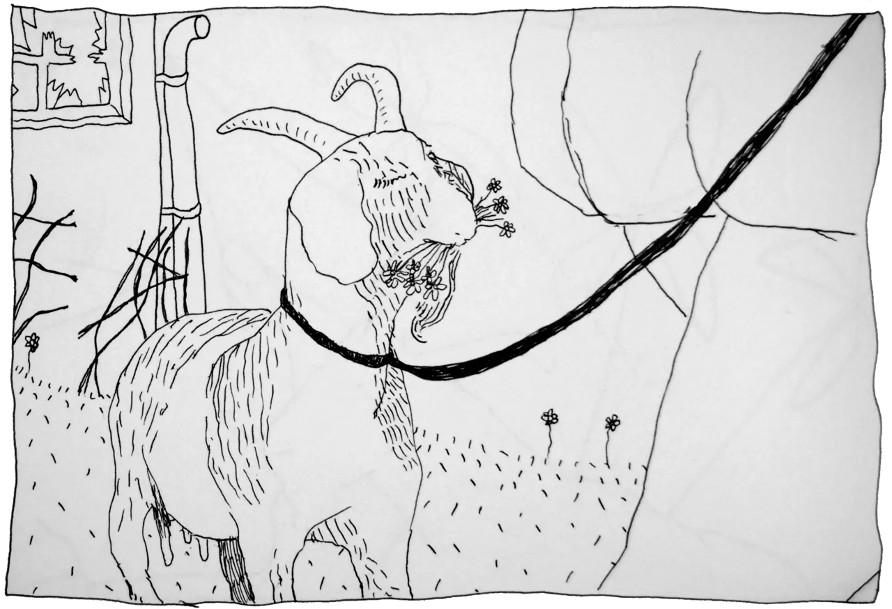 lurds4