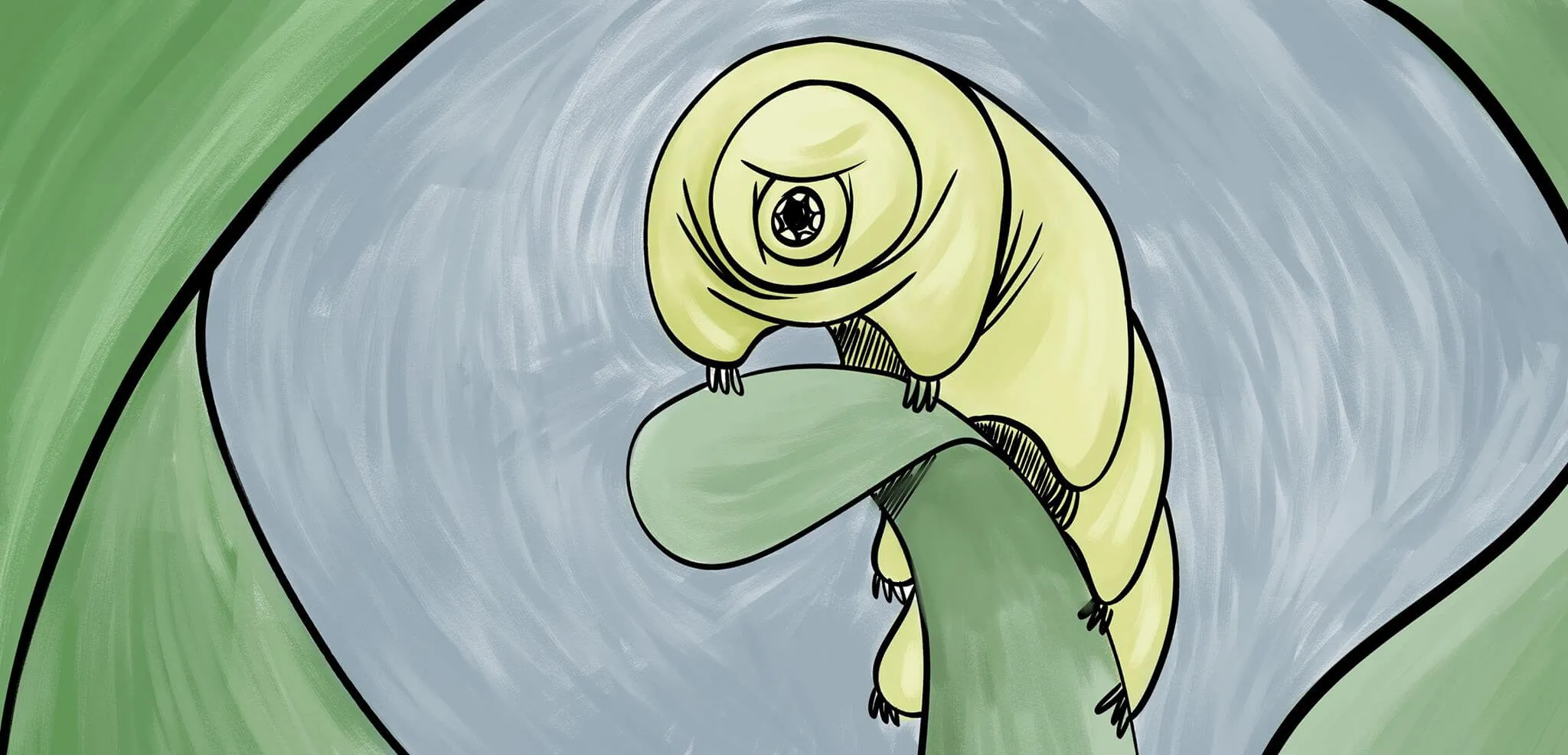 tardigrados